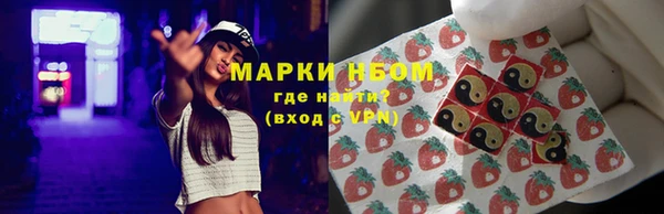 стаф Балахна