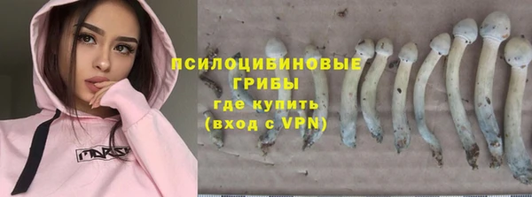стаф Балахна