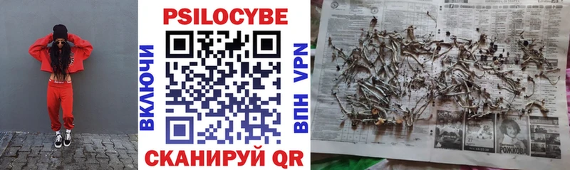 Галлюциногенные грибы Psilocybine cubensis где купить Котельниково